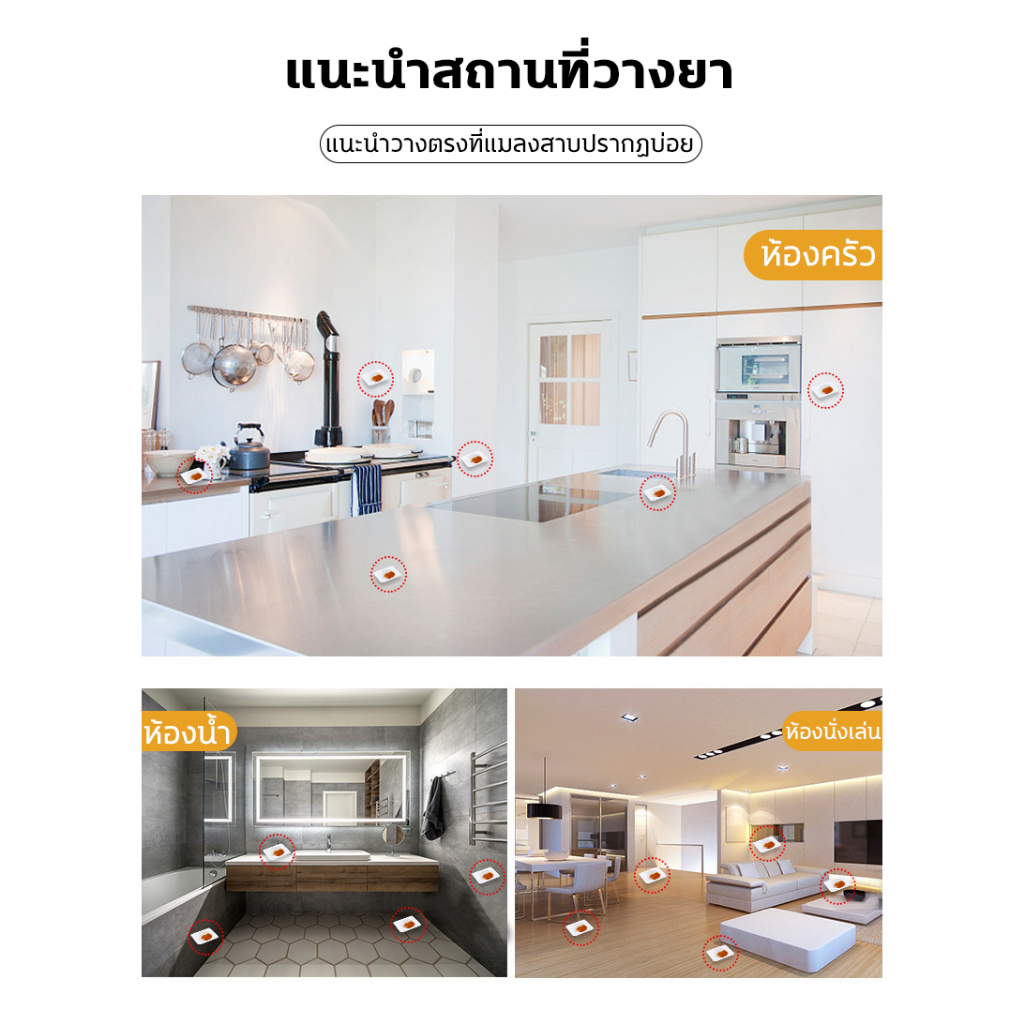 แมลงสาบล่อเพื่อทำลายแมลงสาบ , ยากำจัดแมลงสาบ，ปลอดภัยสำหรับคนและสัตว์เลี้ยง , ปลอดสารพิษ , ฆ่าทั้งรัง - รูปที่ 7