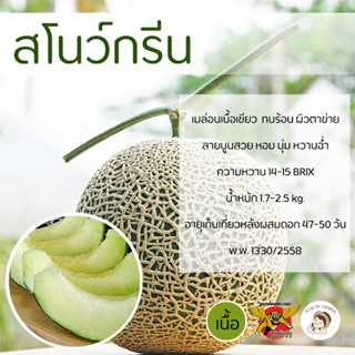 เมล็ดเมล่อนสโนว์กรีน 100 เมล็ด ตราพยัคฆ์ติดปีก เนื้อเขียวนุ่ม เมล็ดพันธุ์