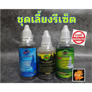 ชุดเลี้ยงอาหารเสริมรีเซ็ต สำหรับเลี้ยงออกชน