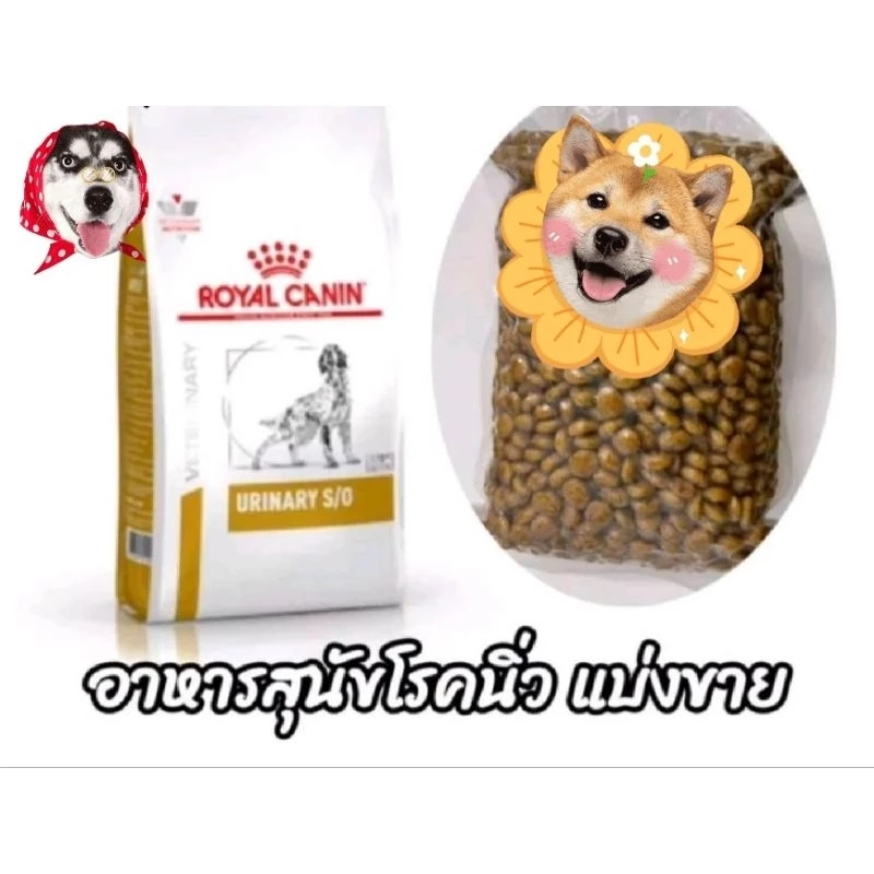 Urinary SO Royal canin อาหารเม็ด สำหรับ สุนัข โรคนิ่ว แบ่งขายขนาด2kgสำหรับสุนัขพันธุ์ใหญ่ราคาถูกมีซองกันชื่น