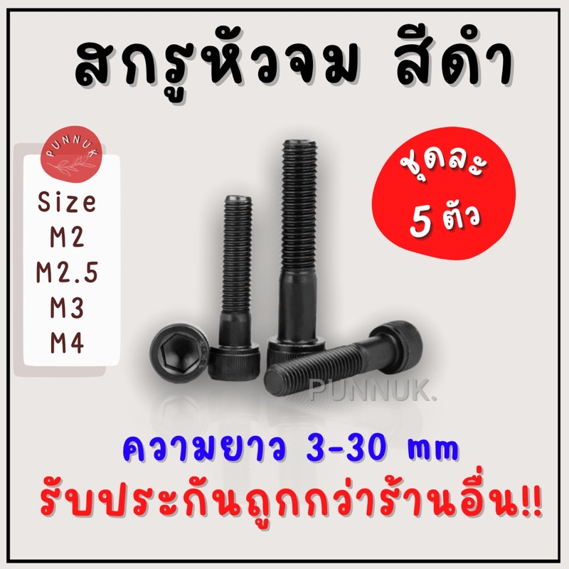 น็อตเหล็ก จม ดำ M2-M4 ยาว 3-30 mm