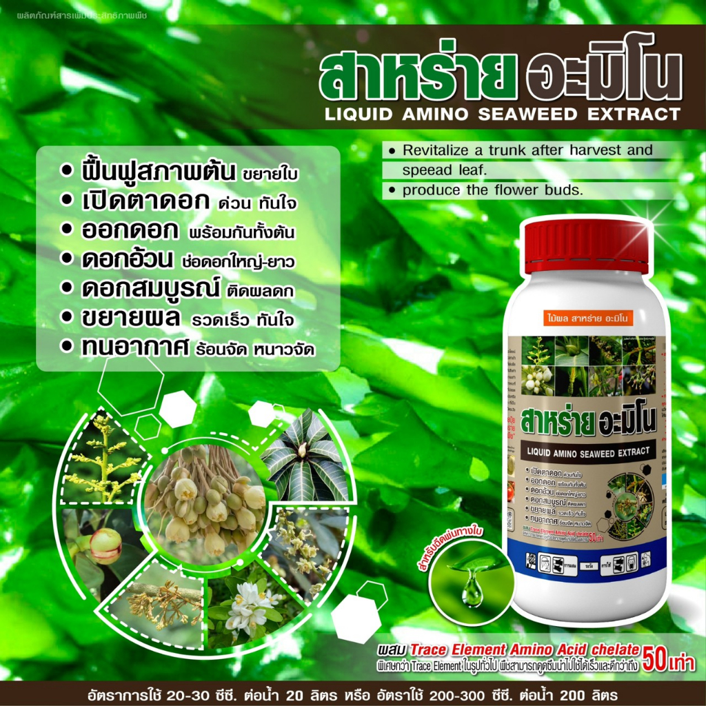 အမီနို ဆာလတ် (Seaweed Amino) ပွင့်ဖွင့်၊ ပွင့်များ ထူထဲ တင်အားကောင်း ထွက်ပြီး အသီးများ အောင်မြင် (၁လီတာ)