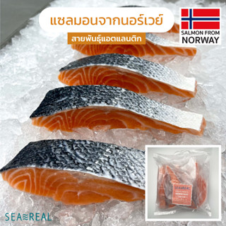 Seareal ปลาแซลมอนจากนอร์เวย์ สายพันธุ์แอตแลนติก 625 กรัม แช่แข็ง Atlantic Salmon from Norway 625 g