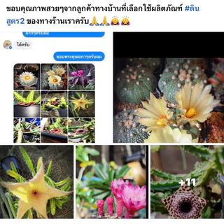 ส่งฟรี‼️ดินสูตร2 สูตรโปร่งพิเศษ สำหรับ แคคตัส ไม้ด่าง ไม้ฟอกอากาศ ไม้อวบน้ำ ไม้มงคลต่างๆ ดินปลูก