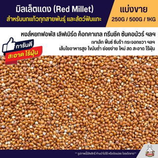 มิลเล็ตแดง Red Millet เกรดA อาหารนกแก้ว และสัตว์ฟันแทะ สะอาด ร่อนฝุ่นทุกถุง (แบ่งขาย 250G / 500G / 1KG)