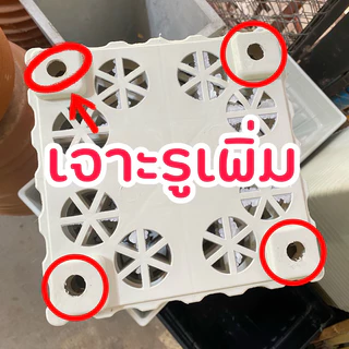 กระถางต้นไม้ กระถางสี่เหลี่ยม กระถางกุหลาบ 12 นิ้ว ยกโหล 12 ใบ สีขาว