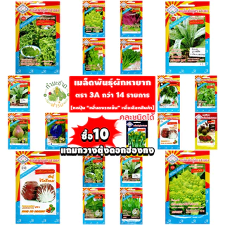 3A (ซื้อ10แถม1) เมล็ดพันธุ์ กระเจี๊ยบเขียวฝักแดง ขนาด1กรัม ประมาณ10เมล็ด RED OKRA กระเจี๊ยบมอญ มะเขือมอญ มะเขือมื่น