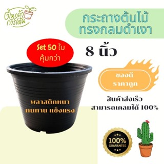 คุ้มกว่า!! กระถางต้นไม้พลาสติก ขนาด 8 นิ้ว Set 50 ใบ สีดำ แบบหนา ราคาโรงงาน ถูกที่สุด