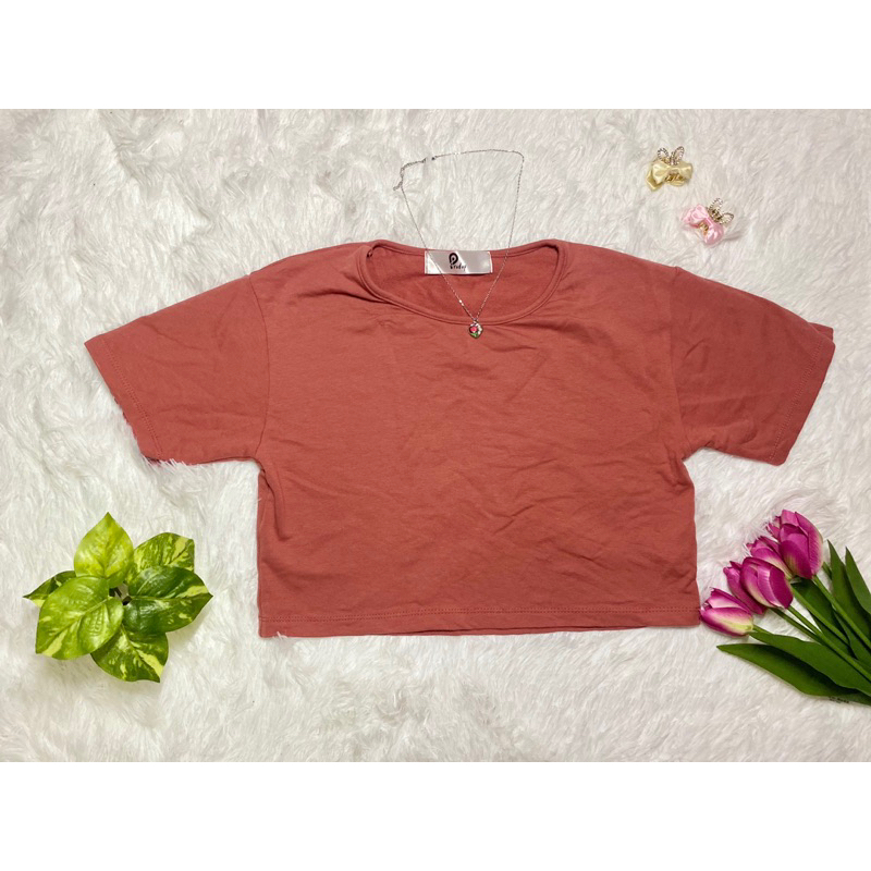 Pradap (ประดับ) ครอปเเขนสั้นสีส้มอิฐ ผ้าดีมาก