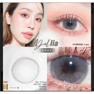 คอนแทคเลนส์ สี วิ้งค์ ฝาสีทอง Dahlia kiss Gray💧ค่าอมน้ำ 60% สายตาปกติ-0.00 We Wink