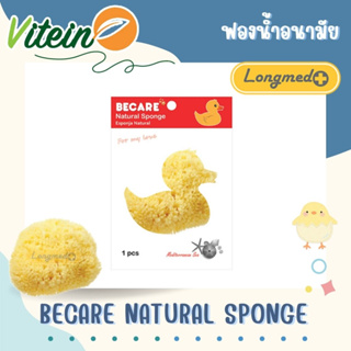 Longmed Becare natural sponge ฟองน้ำอนามัย