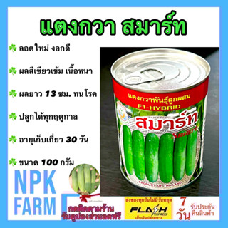 แตงกวา สมาร์ท 100 กรัม หมดอายุ 03/2568 ลอตใหม่ งอกดี ผลสีเขียวเข้ม ขึ้นค้างเก่ง ผลดก เนื้อหนา หวานกรอบ ผลยาว 13 ซม npk