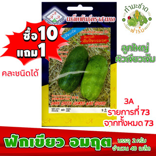 (ซื้อ10แถม1) เมล็ดพันธุ์ ฟักเขียว อมฤต Jumbo Wax Gourd ประมาณ 40เมล็ด 3A สามเอ ผักสวนครัว เมล็ดพันธุ์พืช เมล็ดผัก