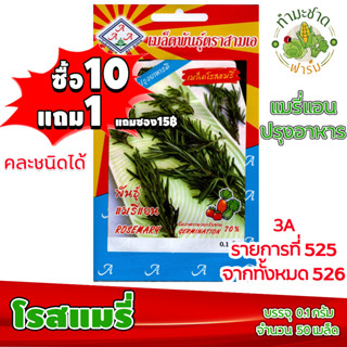 (ซื้อ10แถม1) เมล็ดพันธุ์ เมล็ด โรสแมรี่ Rosemary ประมาณ 50เมล็ด 3A สามเอ ผักสวนครัว เมล็ดพันธุ์พืช เมล็ดผัก เม็ดผัก