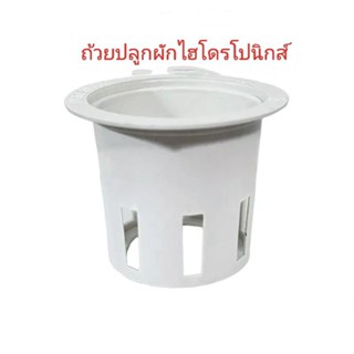 **แพ็ค50ใบ**ถ้วยปลูกผักไฮโดรโปนิกส์ (ถ้วยปลูกผักสลีดเอบี)