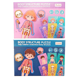 Body Structure Puzzle ของเล่นเด็ก ตัวต่อร่างกายมนุษย์ ของเล่นเสริมทักษะวัยเรียน อายุ3ปีขึ้นไป ของเล่นวิทยาศาสตร์ TY189