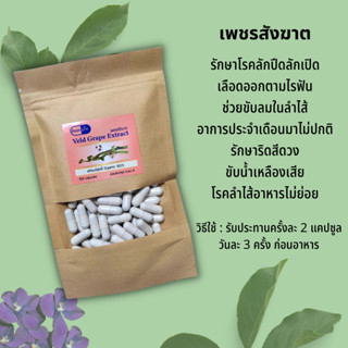 เพชรสังฆาต Veld Grape Extract ขนาด 500 มิลลิกรัม 100 แคปซูล