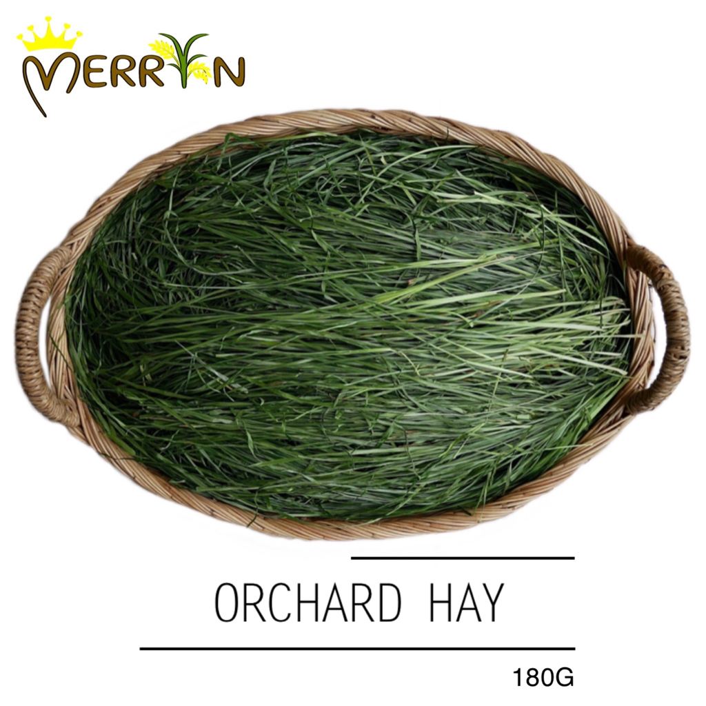 หญ้าออชาร์ดเน้นใบ - Orchard hay by Merryn Exotic (180G)