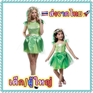 ชุดนางฟ้า สีเขียว Book Green fairy เทพนิยาย ชุดทิงเกอเบล tinkerbell