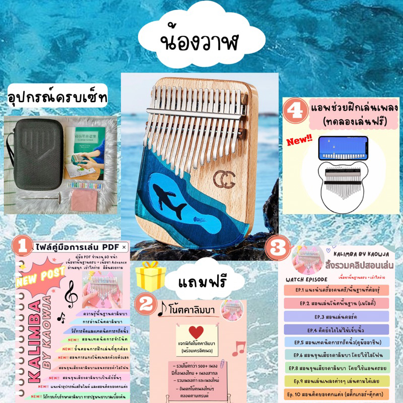 ✅พร้อมส่ง✅ มีสอนเล่นครบ Kalimba คาลิมบา น้องวาฬ🐳 ยี่ห้อ Cega ของแท้ 100