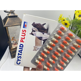 Cystaid plus อาหารเสริมโปรตีนเสริมความแข็งแรงของกระเพาะปัสสาวะ 30 แคปซูล