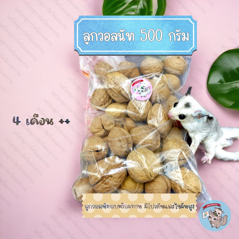 ( ลูกวอลนัท 500กรัม ) WALNUT วอลนัทแบบลูก วอลนัทลูก วอลนัต ถั่ว ชูการ์ กระรอก แฮมสเตอร์ ดอร์เมาส์ สัตว์ สัตว์เลี้ยง