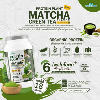 โปรตีนแพลนท์ สูตร 4 PROTEIN PLANT (รสมัชฉะ) ปริมาณ 900 กรัม/กระปุก โปรตีนพืช 5 ชนิด ออแกรนิค มีโพรไบโอติกส์ 6 สายพันธุ์