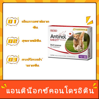 Antinol สุนัข อาหารเสริมบำรุงข้อ ลดอักเสบ EXP：03/2025