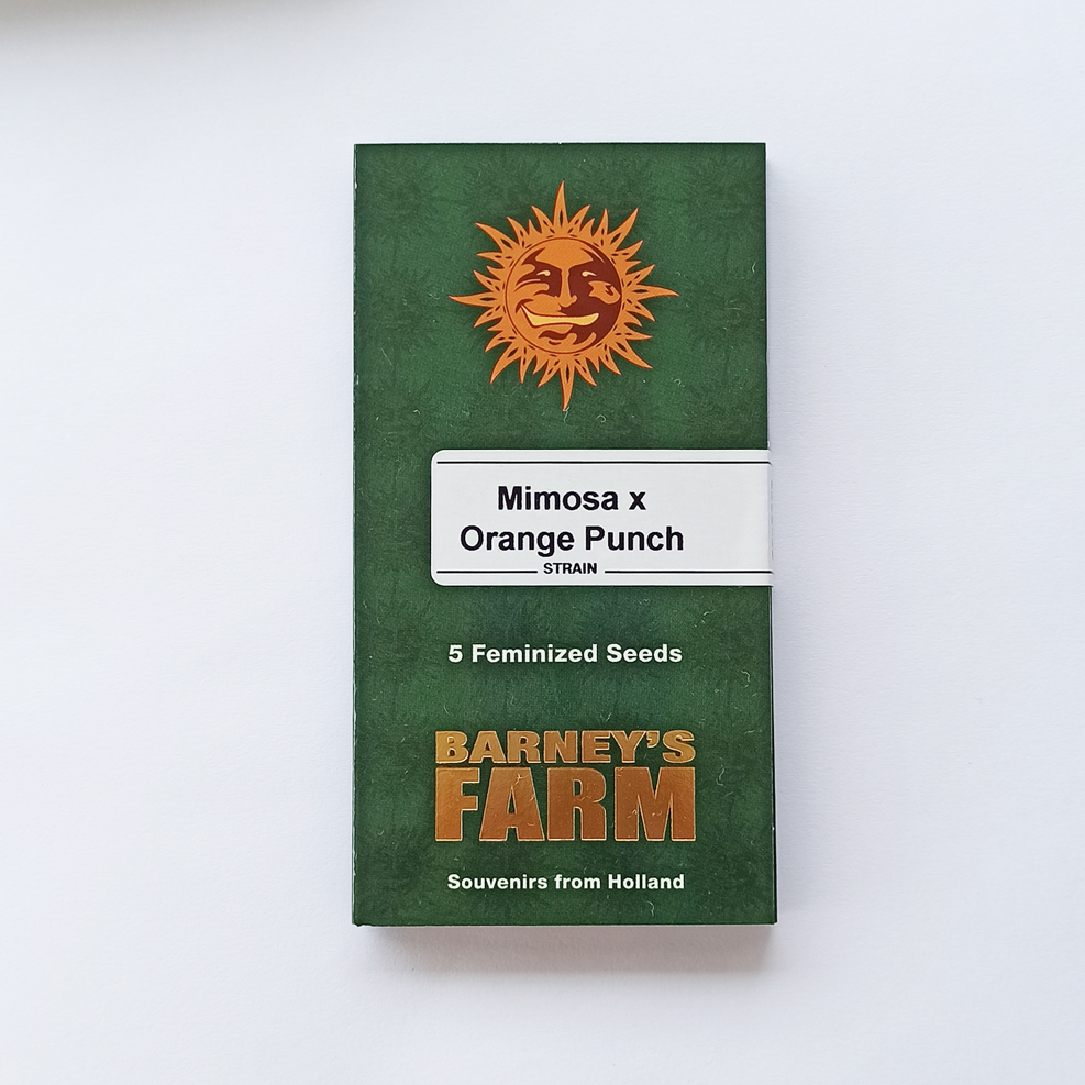 Cannabis seeds Barney's farm Mimosa x Orange Punch feminized photoperiod 5pc