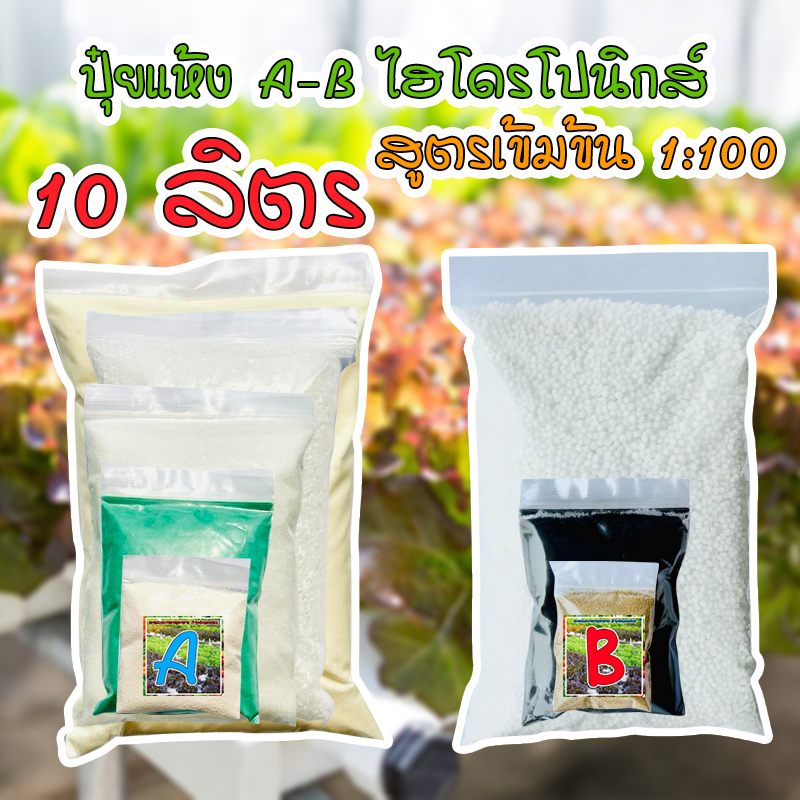 ชุดคู่ปุ๋ยเอบีแห้งAB ผง ปุ๋ยไฮโดรโปนิกส์ Hydroponics *ขนาดผสมน้ำ 10ลิตร* แถมคู่มือ