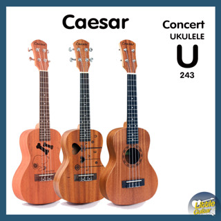 อูคูเลเล่ Caesar Ukulele ทรง คอนเสิร์ต