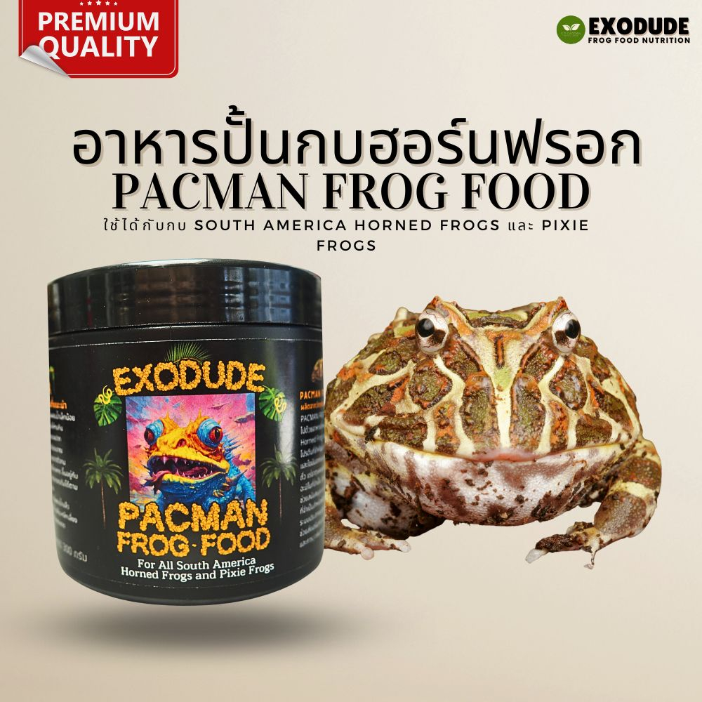 🔥อาหารปั้นสำหรับกบฮอร์นฟรอก 300g 💥Exodude อาหารกบ คุณค่าทางอาหารสูง มีโปรไบโอติก Horned Frog Pacman 