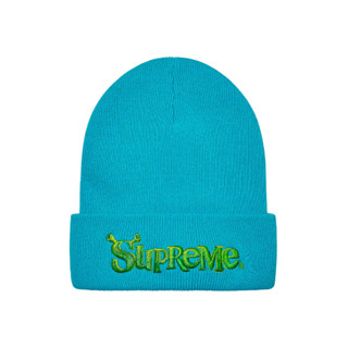 Supreme X Shred Beanie Turqiouse