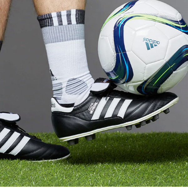 รูปภาพ 2