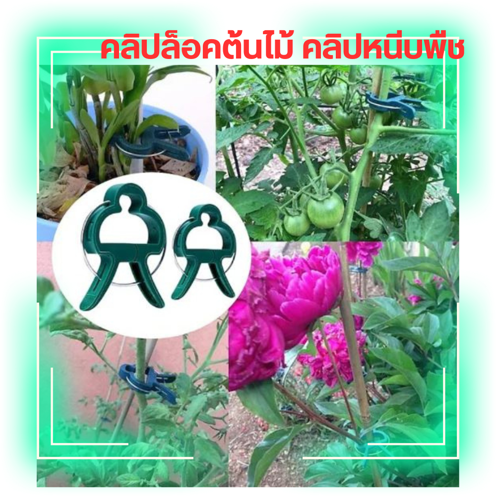 คลิปหนีบต้นไม้ คลิปล็อคต้นไม้ มีให้เลือก 2 ขนาด อุปกรณ์จัดสวน สินค้าพร้อมส่ง