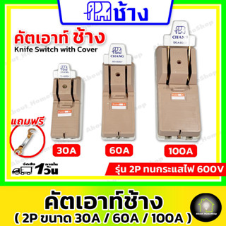 คัทเอาท์ช้าง(แท้) 2P ขนาด 30A / 60A / 100A