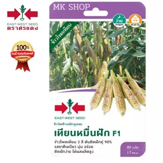 เมล็ดข้าวโพดสามสี เทียนหมื่นฟักF1 ตราศรแดง ข้าวโพด3สีม่วงเหลืองขาวในฟักเดียว หวานอร่อย