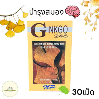 Ginkgo 246 30เม็ด แปะก๊วยสกัดชนิดเม็ด