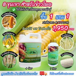 [พร้อมส่ง] 8ขุนเขา ข้าวโพด 4 ลิตร อาหารเสริมพืช ฮอร์โมนข้าวโพด อะมิโน ปุ๋ยฉีดทางใบ ยาฉีดข้าวโพด ฮอร์โมน ปุ๋ยฉีดข้าวโพด 7