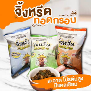 จิ้งหรีดทอดกรอบ จิ้งโกร่งทอดกรอบ ใบหม่อนฟาร์ม - Crispy Cricket Baimon Farm