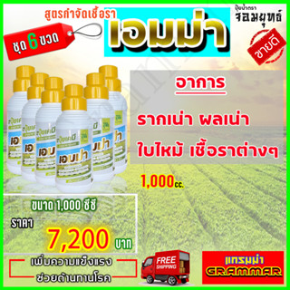 🔥🔥 ส่งฟรี 🔥🔥เอมม่า ปุ๋ยน้ำเอมม่า ( 1000 ซีซี  6 ขวด) ป้องกันการเกิดเชื้อราในพืช ปุ๋ยน้ำสูตรเข้มข้น เพิ่มความแข็งแรงพืช