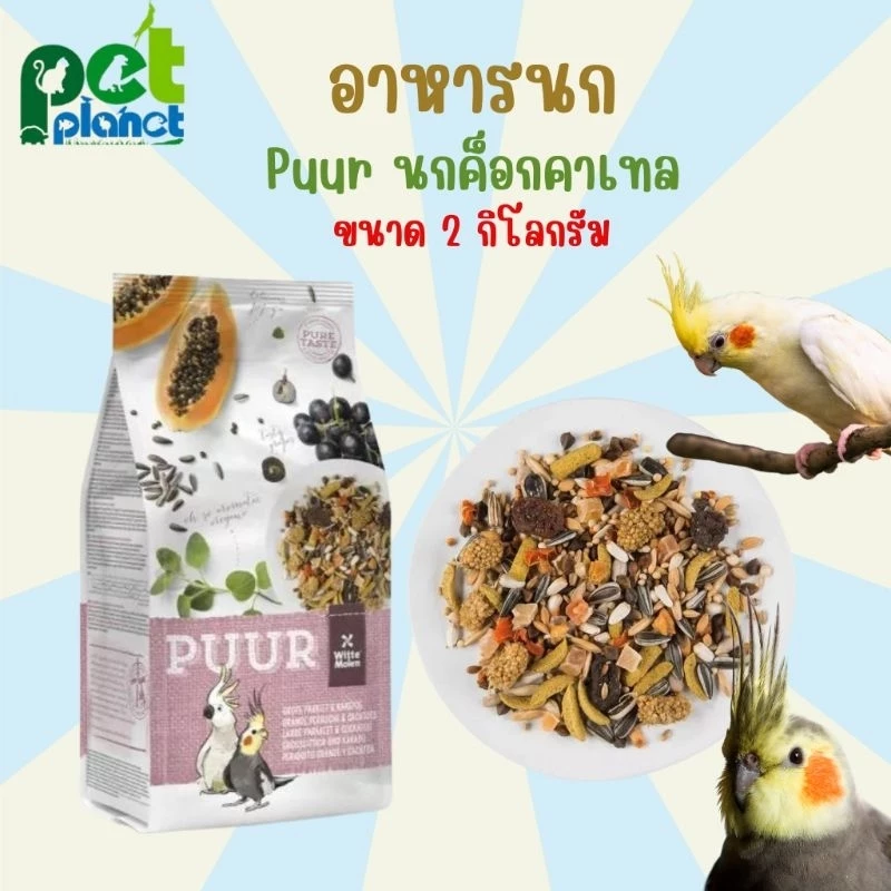 [2kg.] อาหารนก Puur Cockatoo อาหารนกค็อกคาเทล สำหรับ นก นกแก้ว นกค็อกคาเทล ขนมนก Wittemolen อาหารสัตว์เลี้ยง
