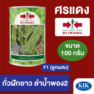 เมล็ดพันธุ์ ศรแดง BIG ถั่วฝักยาว ลำน้ำพอง กระป๋อง ขนาด 100 กรัม