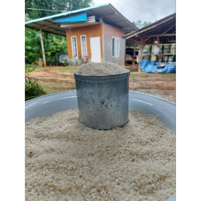 ข้าวดอย เหนียวนุ่มอร่อย จำหน่าย 1kg. (ข้าวจ้าวดอย)