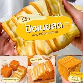 Milk Thousand Layer Toast 🍞 ขนมปังตัวดัง ฉ่ำเนย 🥞 ฉีกได้ 30 ชั้น เวฟ 30 วิฯ ก่อนทาน