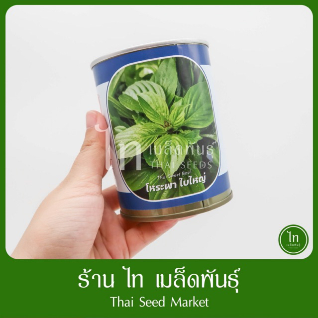 โหระพา ใบใหญ่ พุ่มใหญ่แขนงดี หอมสะดุด เมล็ด โหระพา ตราลูกโลก บรรจุ 25 กรัม