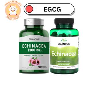 Echinacea เอ็กไคนาเซีย สมุนไพร ป้องกันหวัด ต้านไวรัส ต้านแบคทีเรีย ลดภูมิแพ้ กระตุ้นภูมิคุ้มกัน เพิ่มระบบภูมิคุ้มกัน