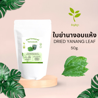 ใบย่านางอบแห้ง ใช้ต้มเป็นชาดื่มหรือทำอาหารแทนใบสด