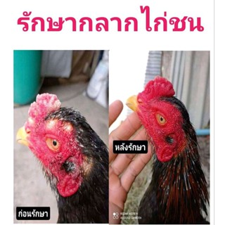 ป้องกันกลากไก่ชน 500cc.