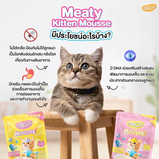 Moochie มูชี่ [ยกโหล12ซอง] อาหารเปียกแมว นางเหมียว